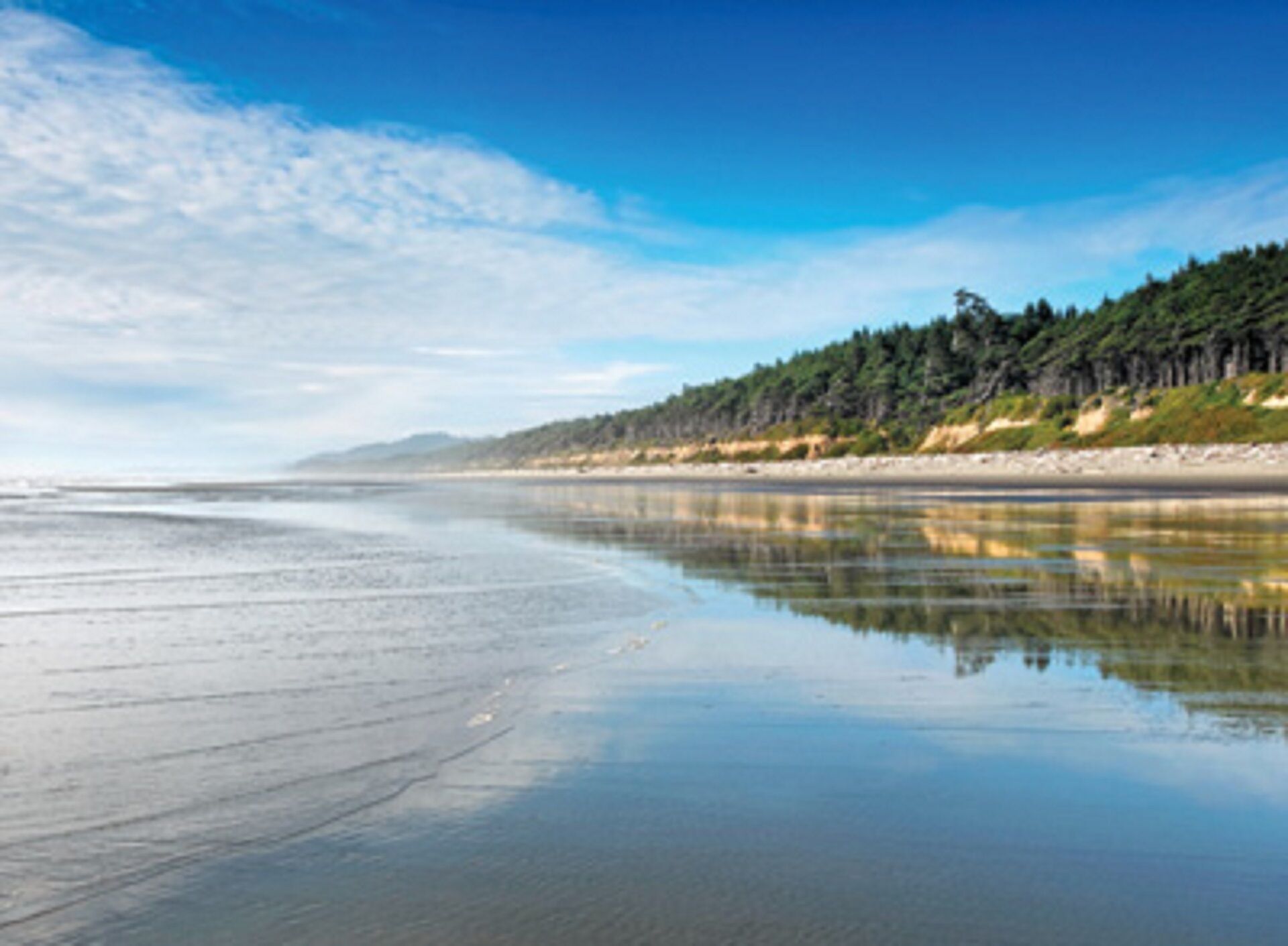 Visit the beautiful Leadbetter Point State Park & Wildlife Refuge!