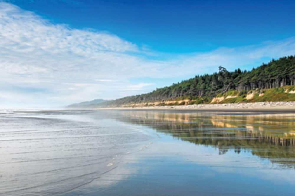 Visit the beautiful Leadbetter Point State Park & Wildlife Refuge!