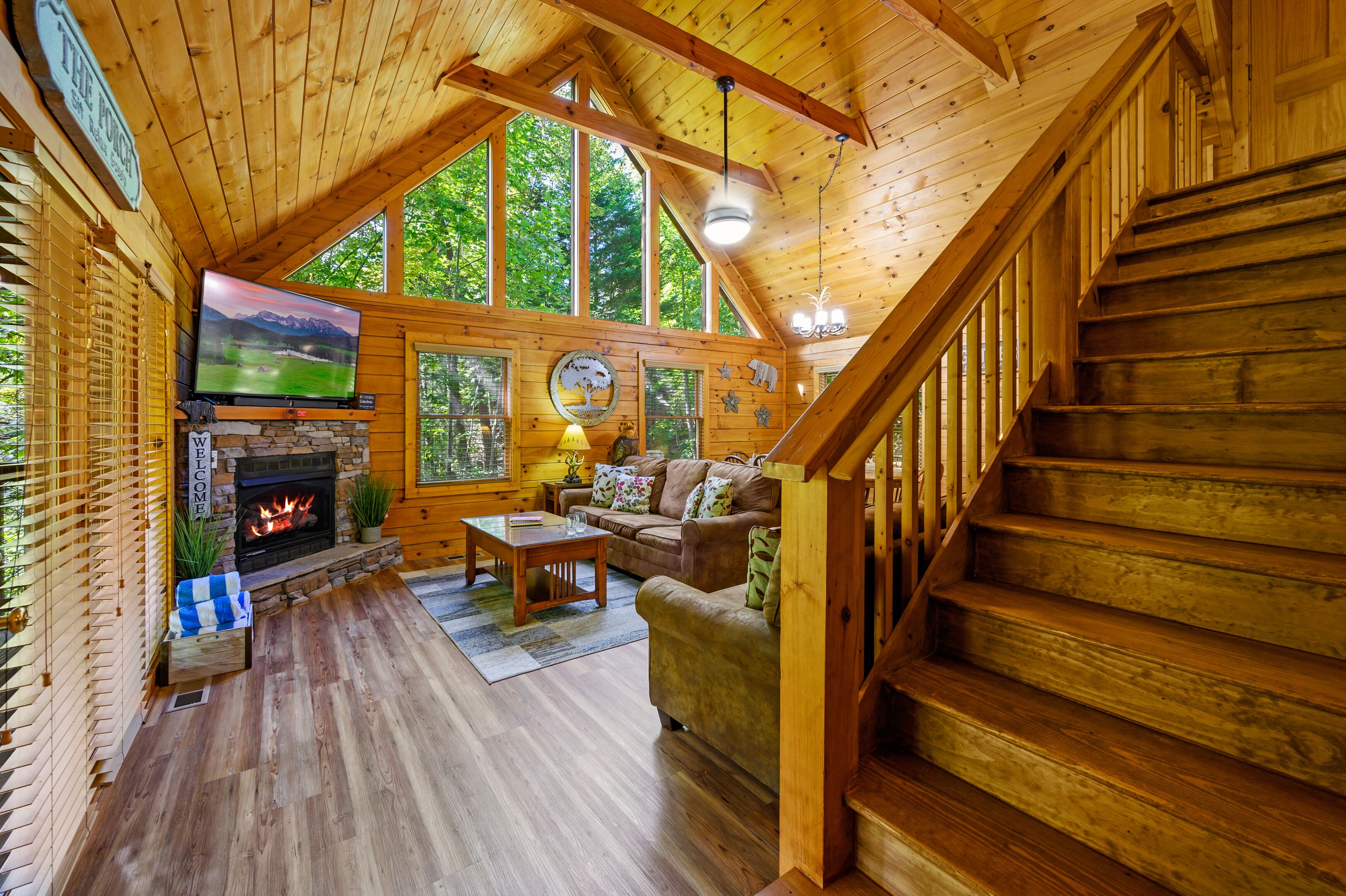 智能電視、壁爐、電子遊戲、DVD 播放機