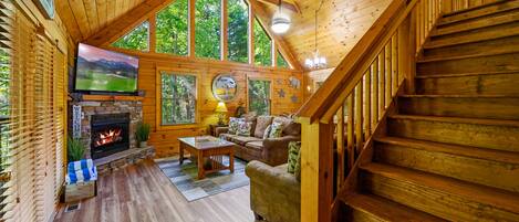 Smart TV, fireplace, video games, DVD player