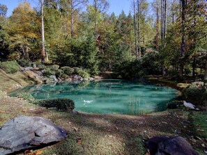 A natural outdoor setting with a pond surrounded by trees and rocks.