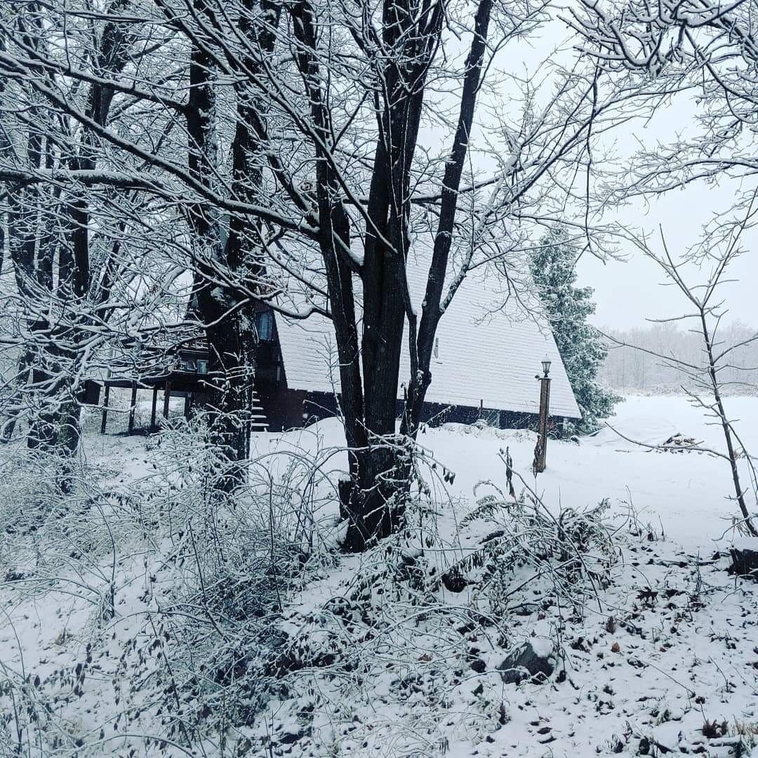 A snow-covered landscape with a wooden cabin and a snow-covered roof.