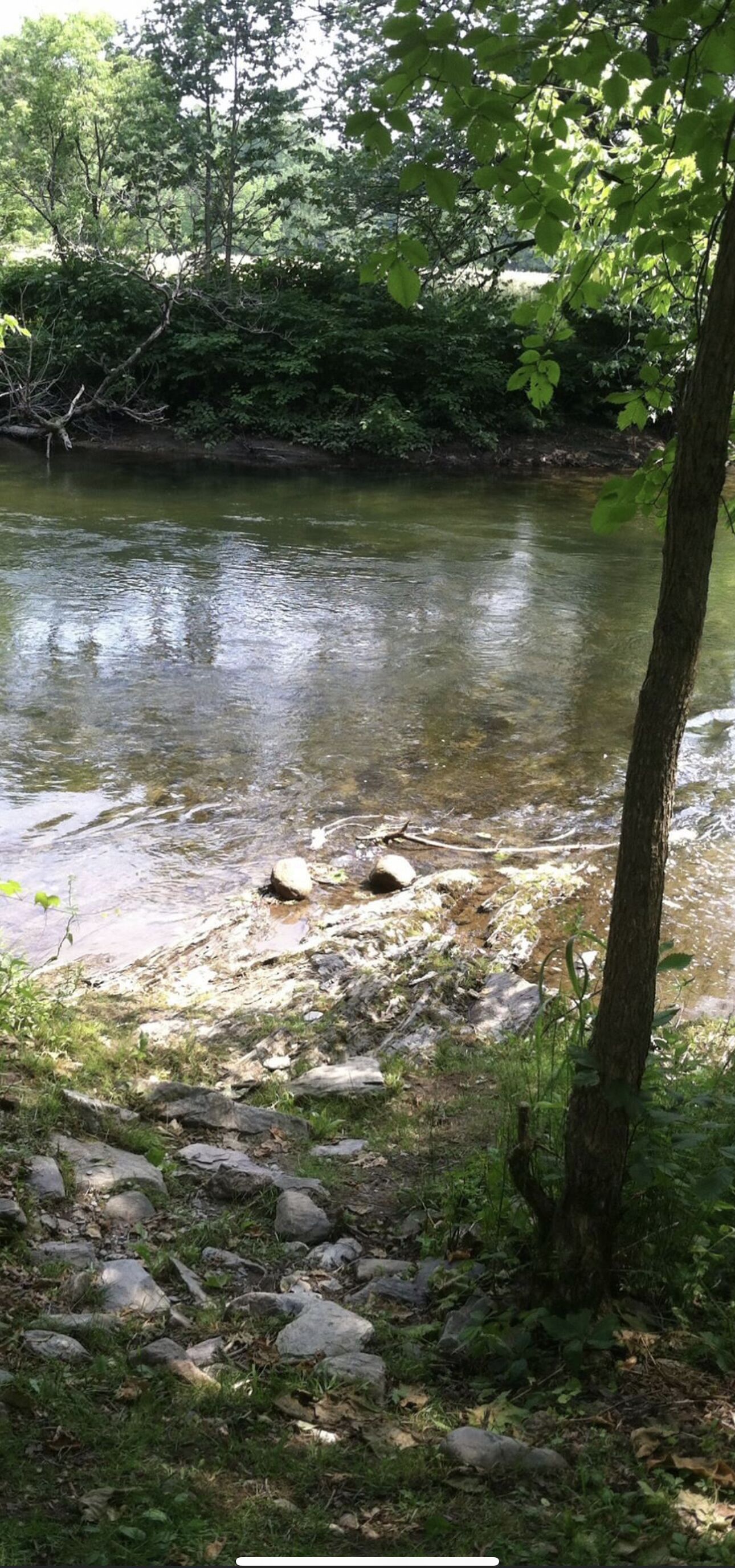 Eine natürliche Landschaft mit einem Fluss, Felsen und Bäumen.