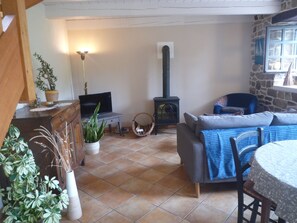 TV, fireplace, books - country holiday home - Goulien (Goulien)