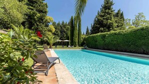 Une piscine avec des chaises longues et un palmier.