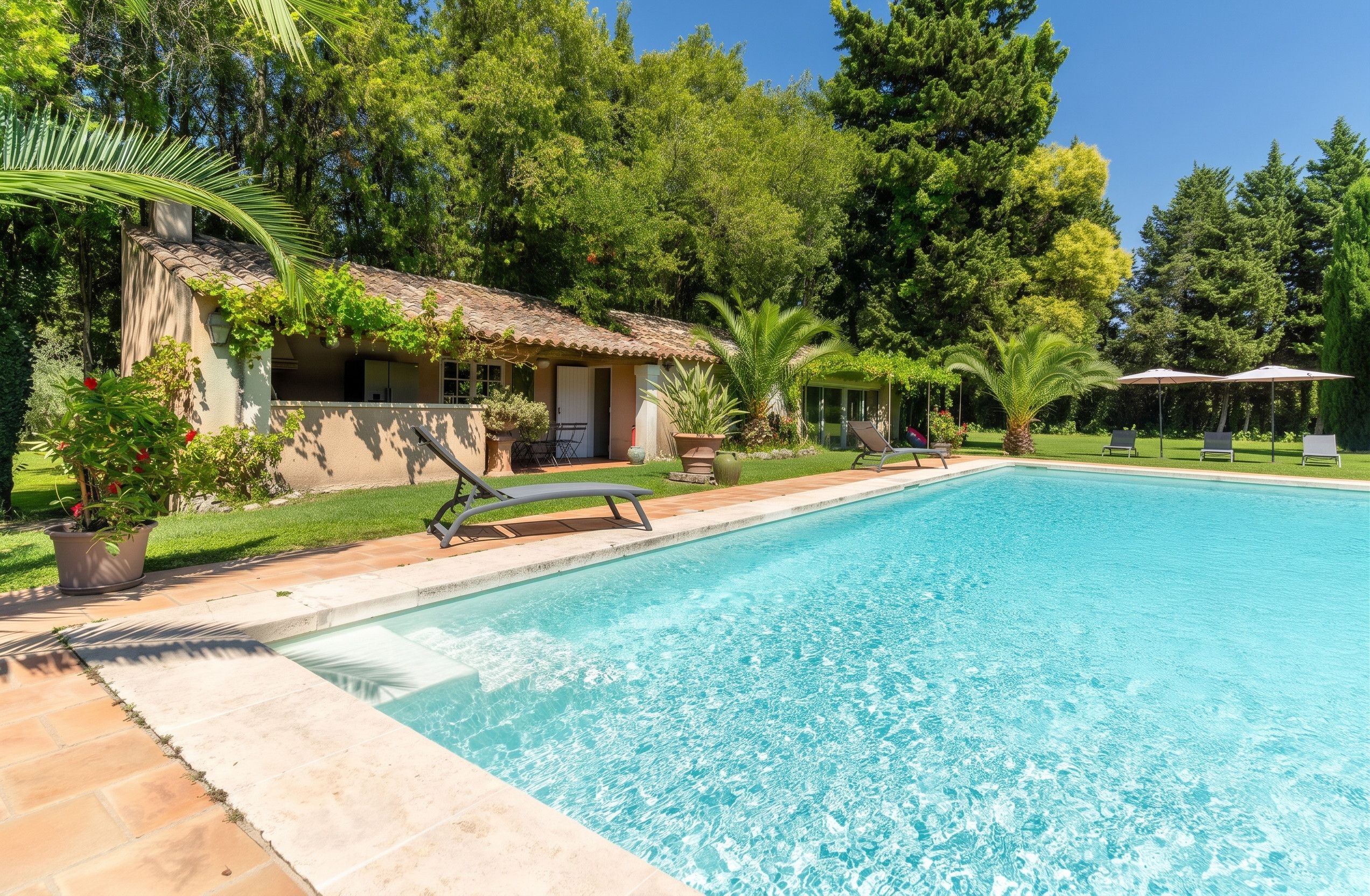 Swimming pool view