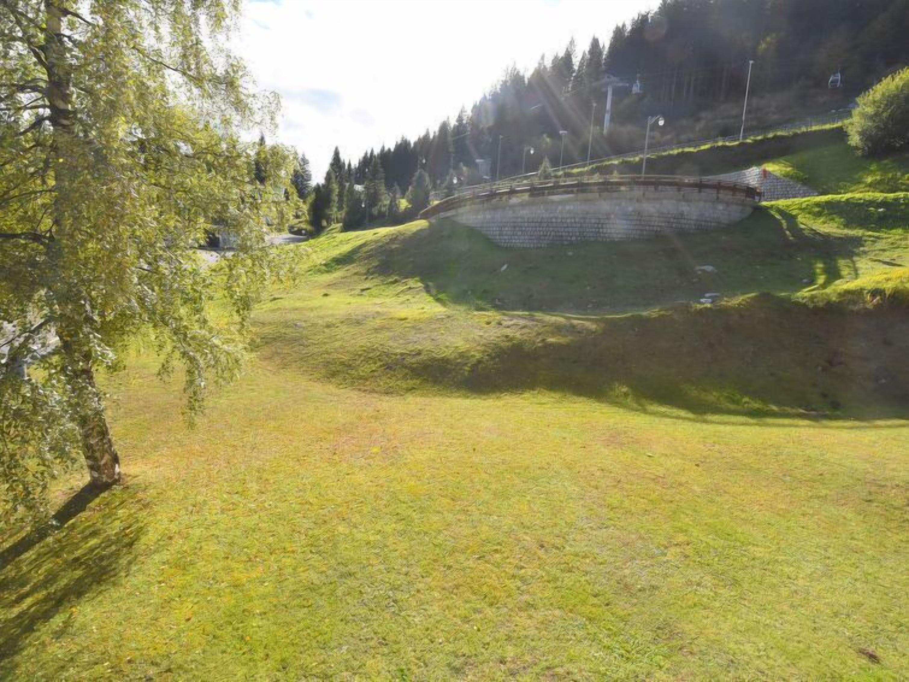 Eine grüne Fläche mit einer Steinstruktur, möglicherweise ein Teich oder kleiner See, umgeben von Bäumen und einer Steinmauer.