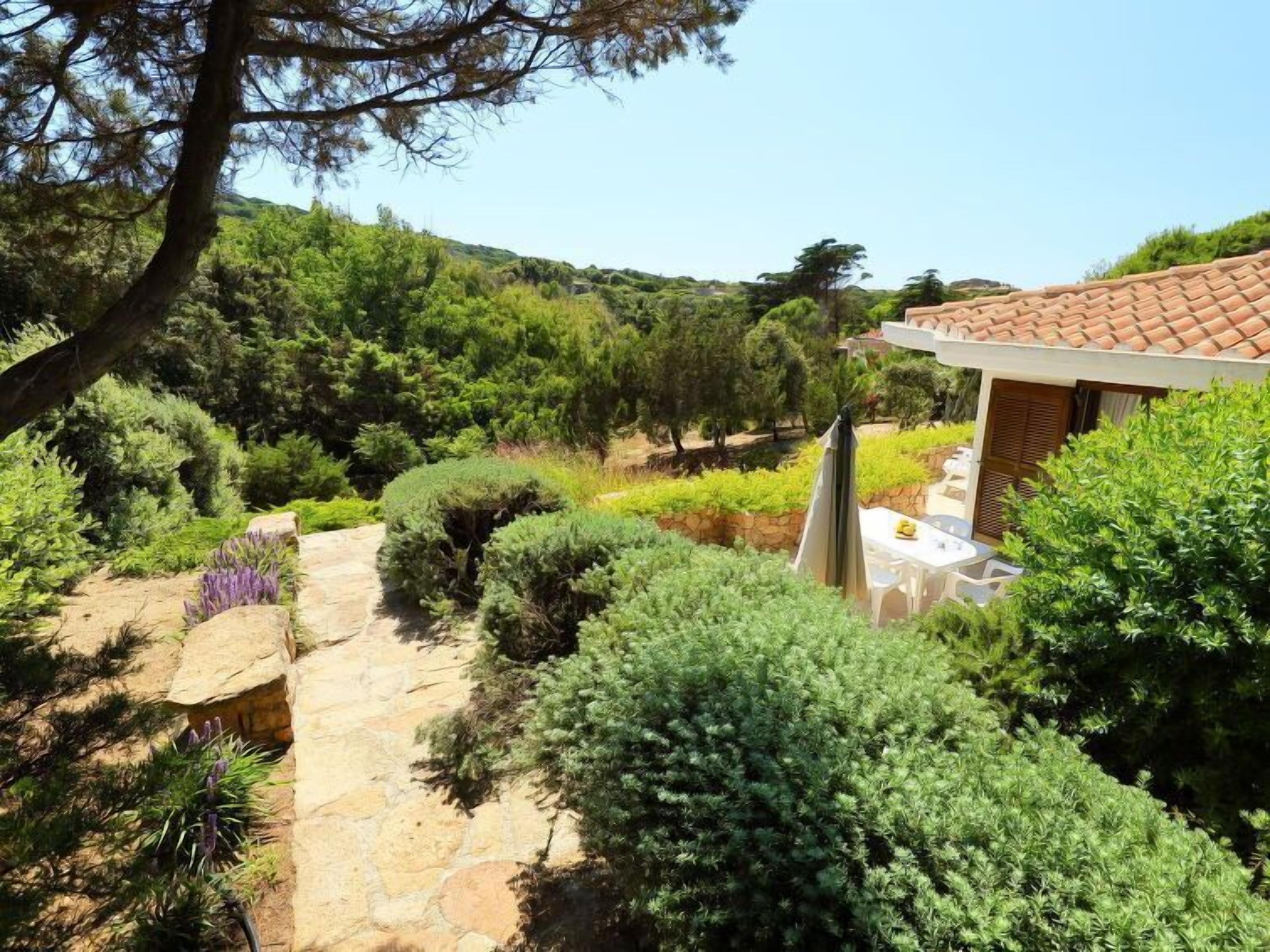 Un vialetto in pietra conduce a un edificio con tetto in tegole, circondato da vegetazione lussureggiante e alberi.