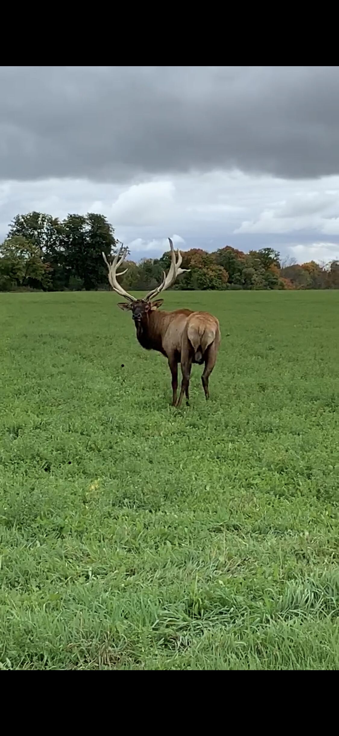 5 Star Lodge Retreat