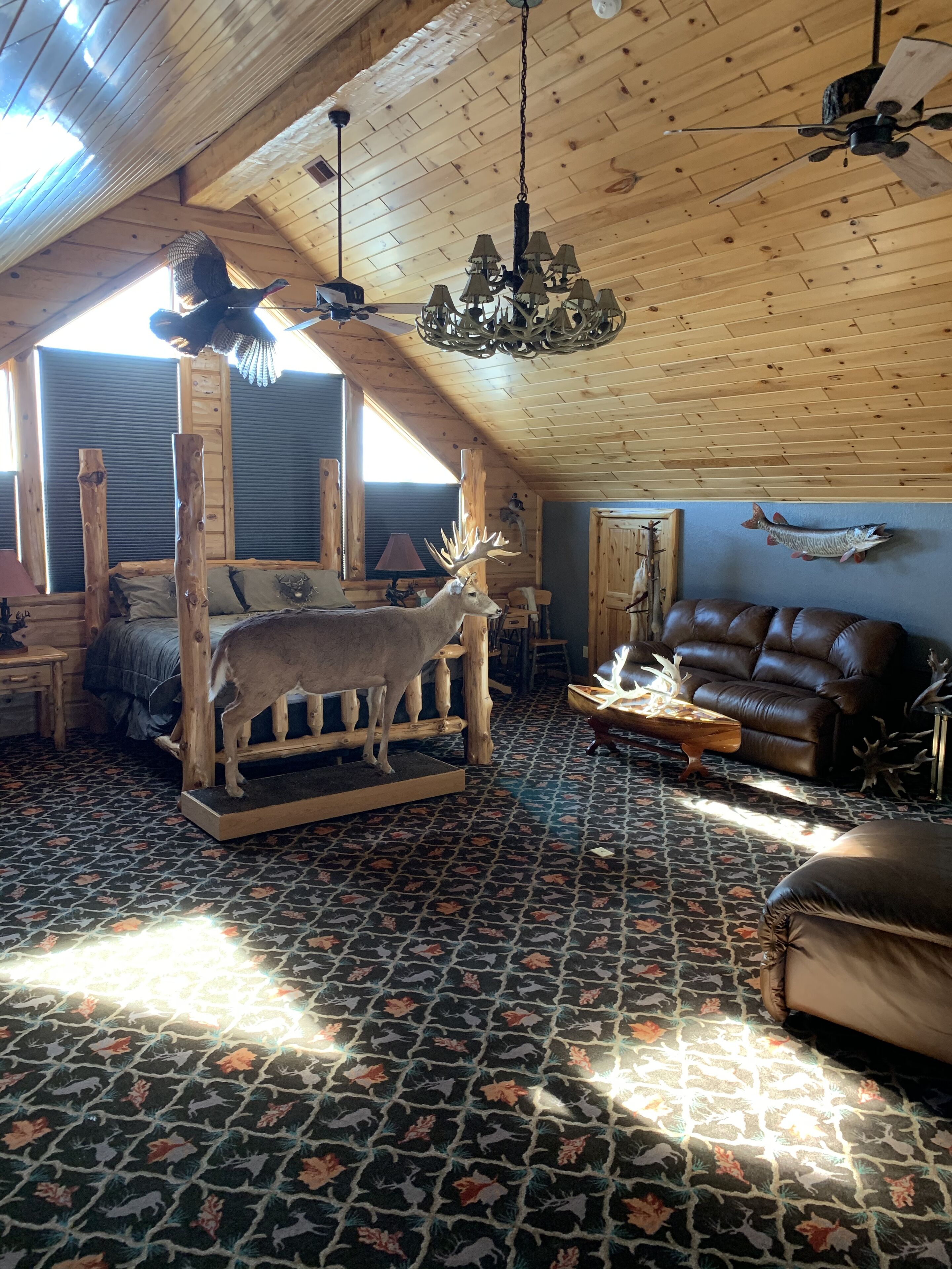 5 Star Lodge Retreat