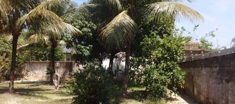 Season House w / Kiosk