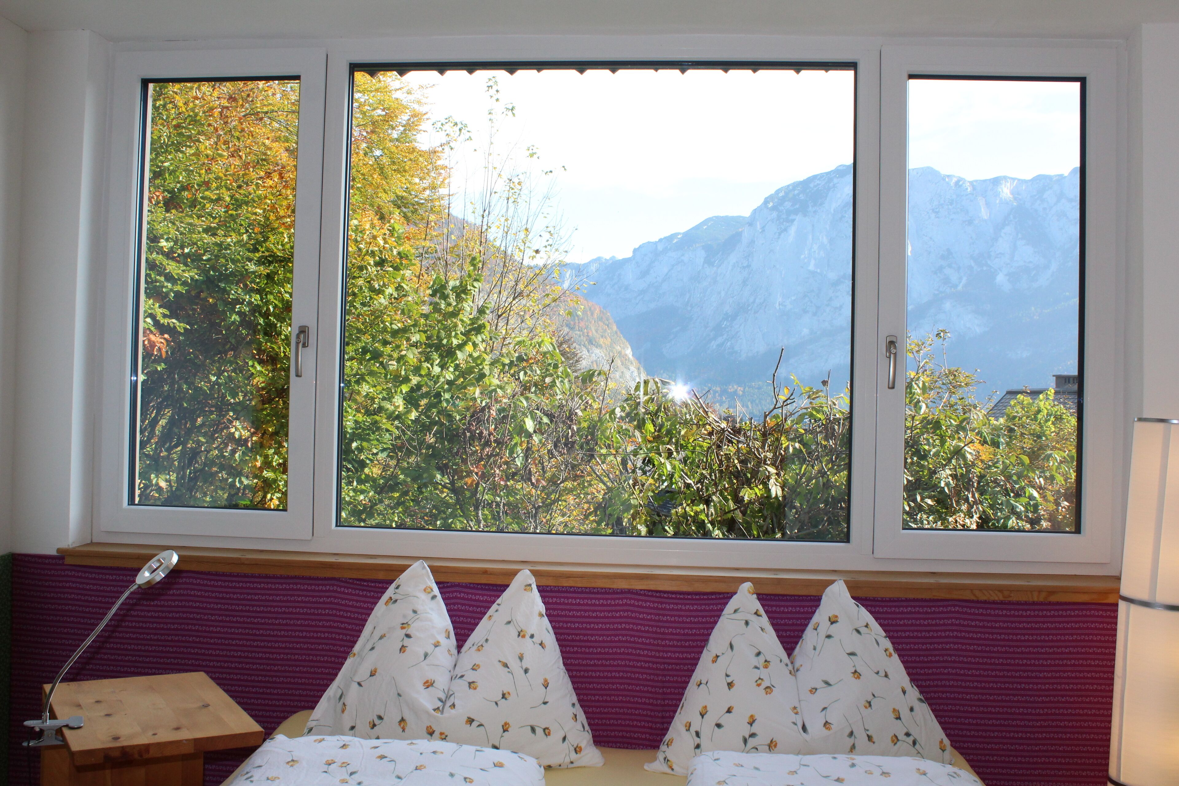 Apartment (3, incl. EUR 55 Cleaning fee) | View from room