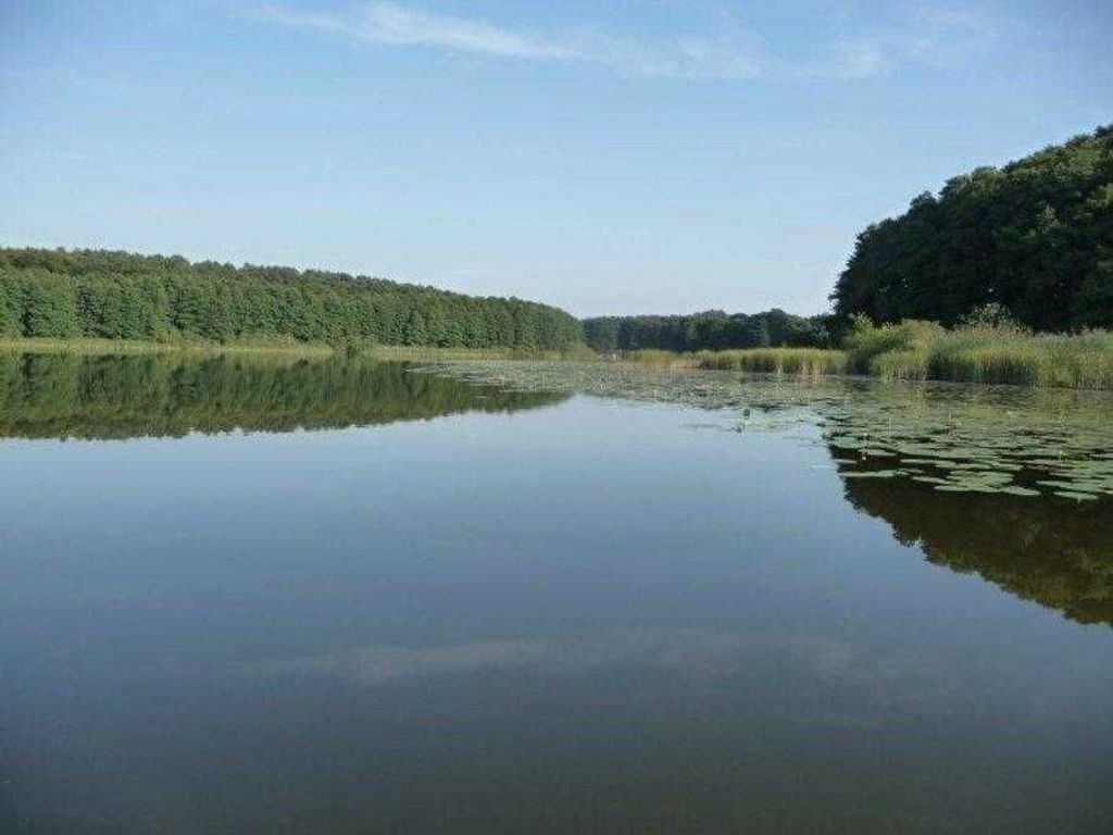 A calm lake with dense forest on both sides.