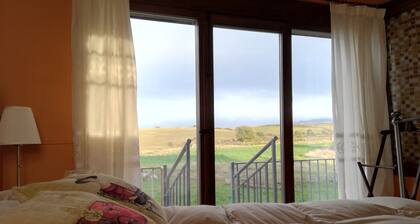 Novelty! 5 star cottage. Explore