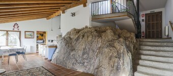 Novelty! 5 star cottage. Explore