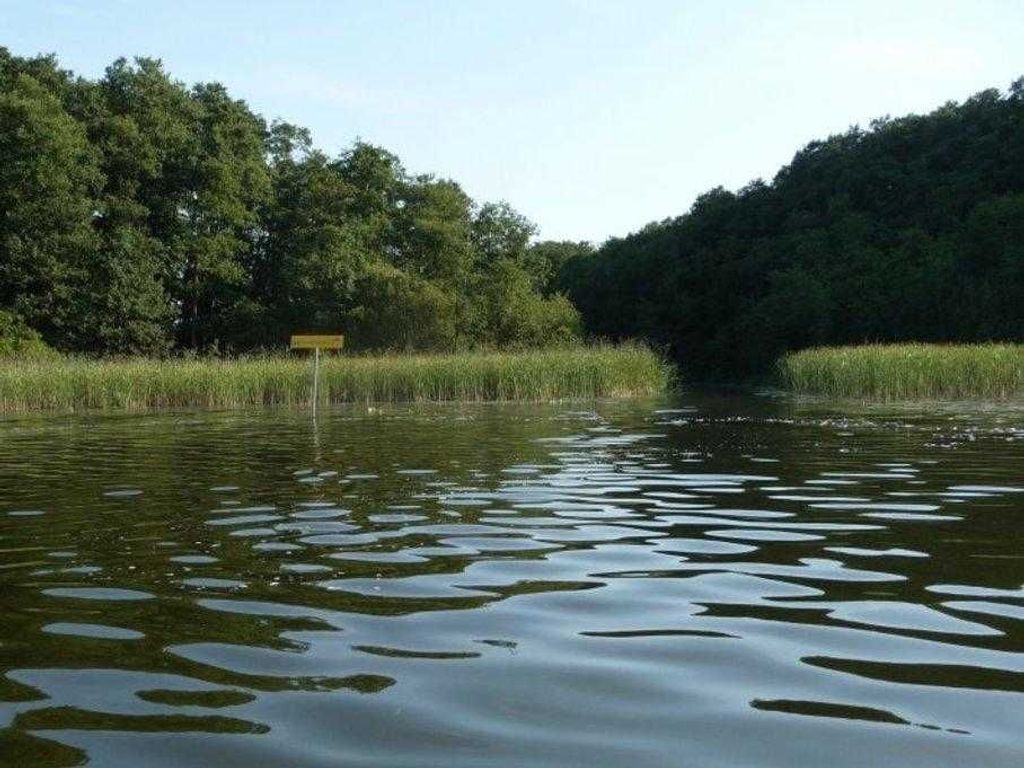 En flod med en vägskylt mitt i, omgiven av tät vegetation.