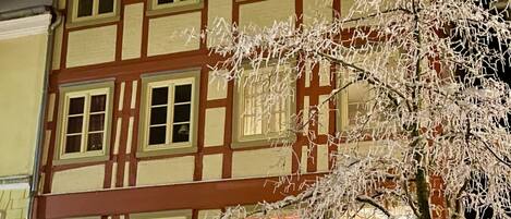 A multi-story building with a traditional facade, a green door, and a tree with bare branches.