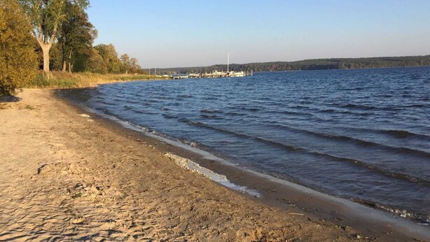 Une plage de sable fin, un lac paisible, des arbres et, au loin, un quai où sont amarrés des bateaux.