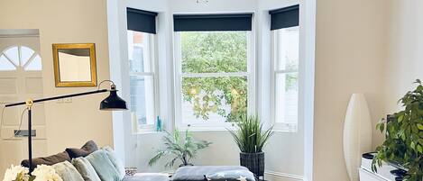 تلفزيون، كُتُب