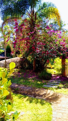 Picturesque Inn Casa Amarela