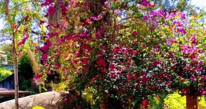 Picturesque Inn Casa Amarela