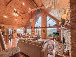 Televisión, chimenea y reproductor de DVD 