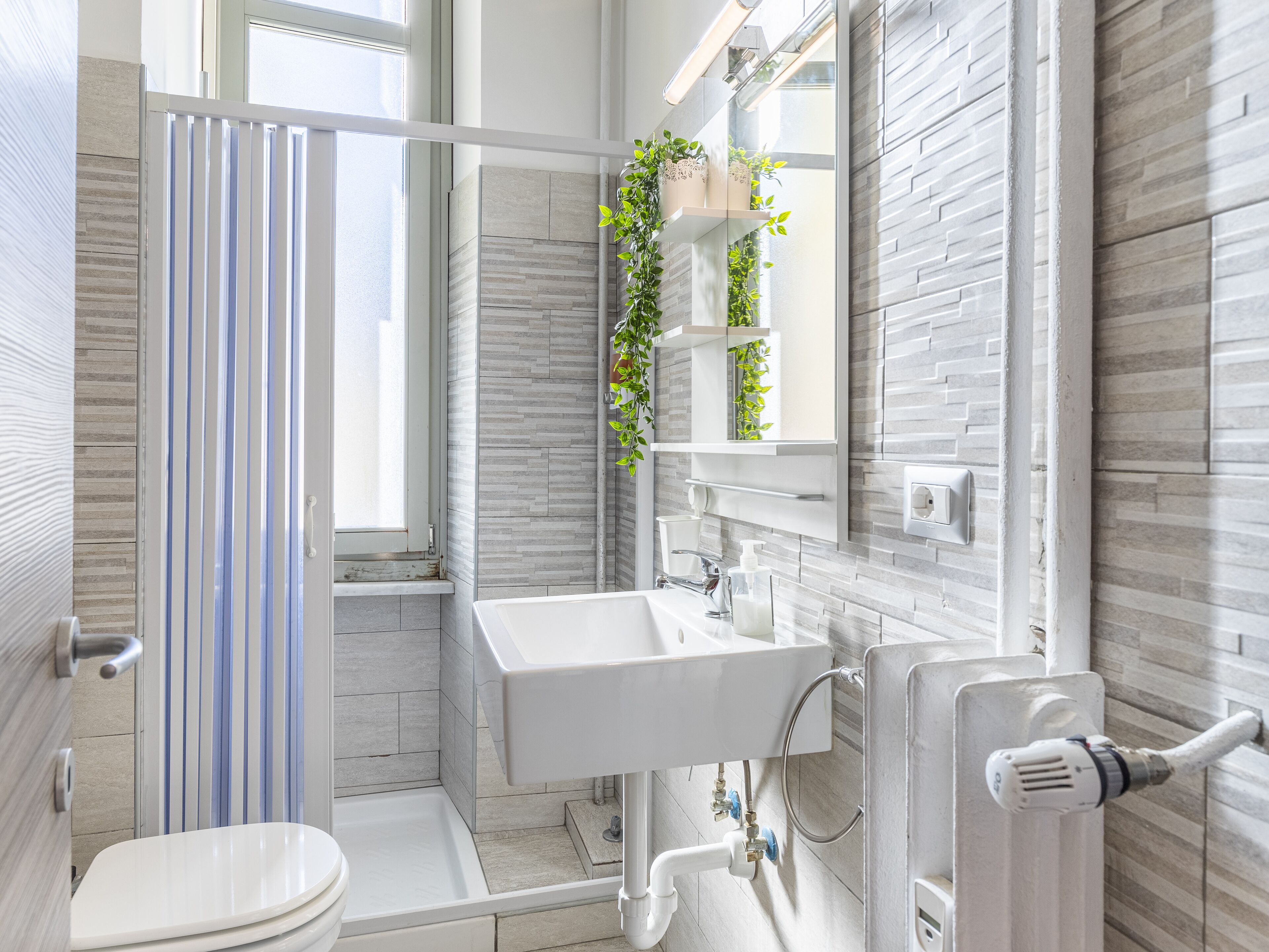 Shower, hair dryer, bathrobes, bidet