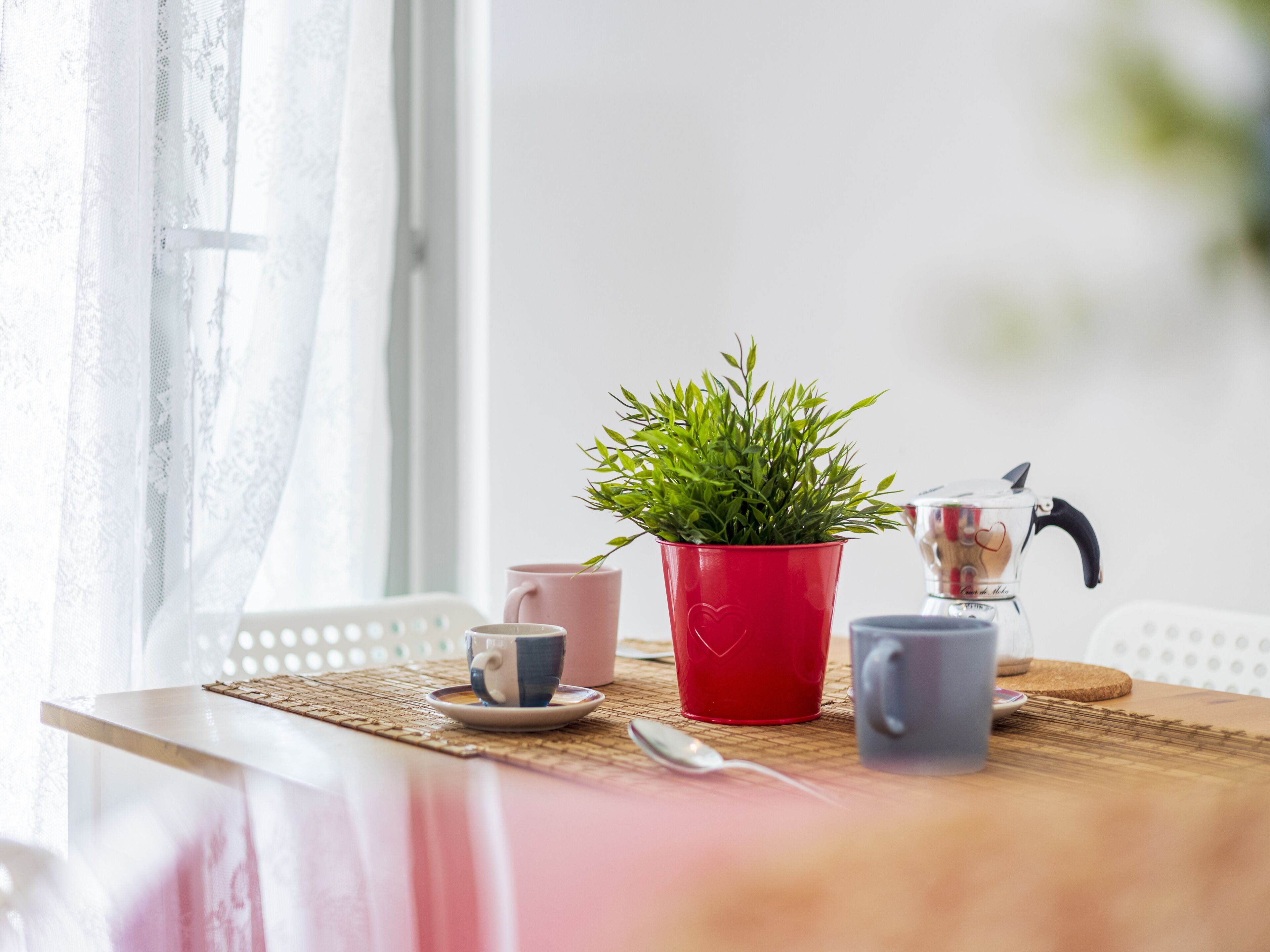 A dining table with a potted plant, a coffee maker, and two cups.