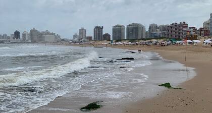 Lindo apartamento a una cuadra de la Playa Brava.