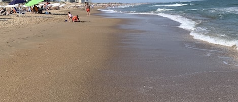 Playa en los alrededores y camastros