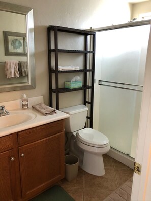 Combined shower/tub, hair dryer, towels, soap