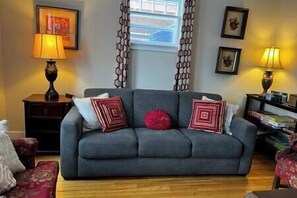 Televisión, chimenea y libros 