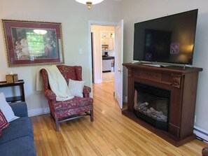 TV, fireplace, books