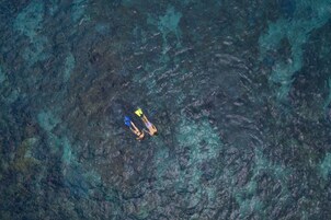 Vista aérea de una playa con agua turquesa cristalina y terreno rocoso.
