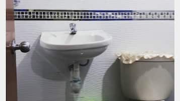 Douche, serviettes fournies, savon, shampoing