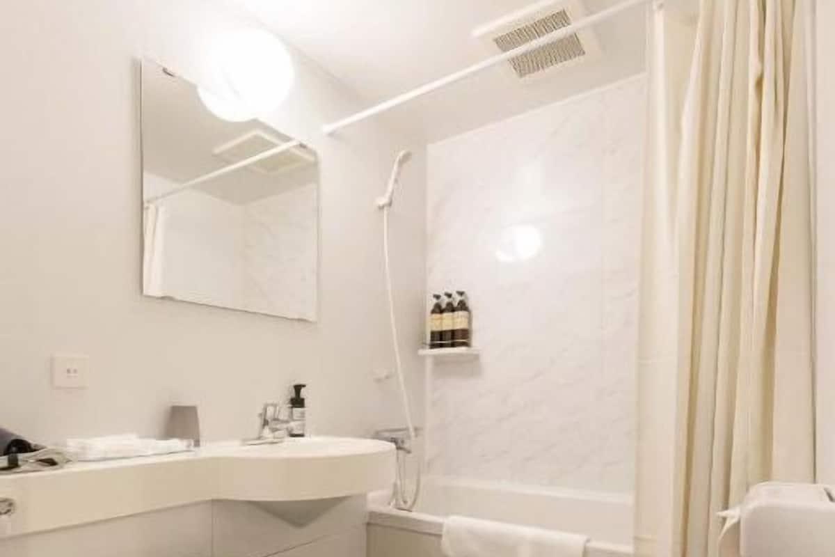 shower, free toiletries, hair dryer, slippers