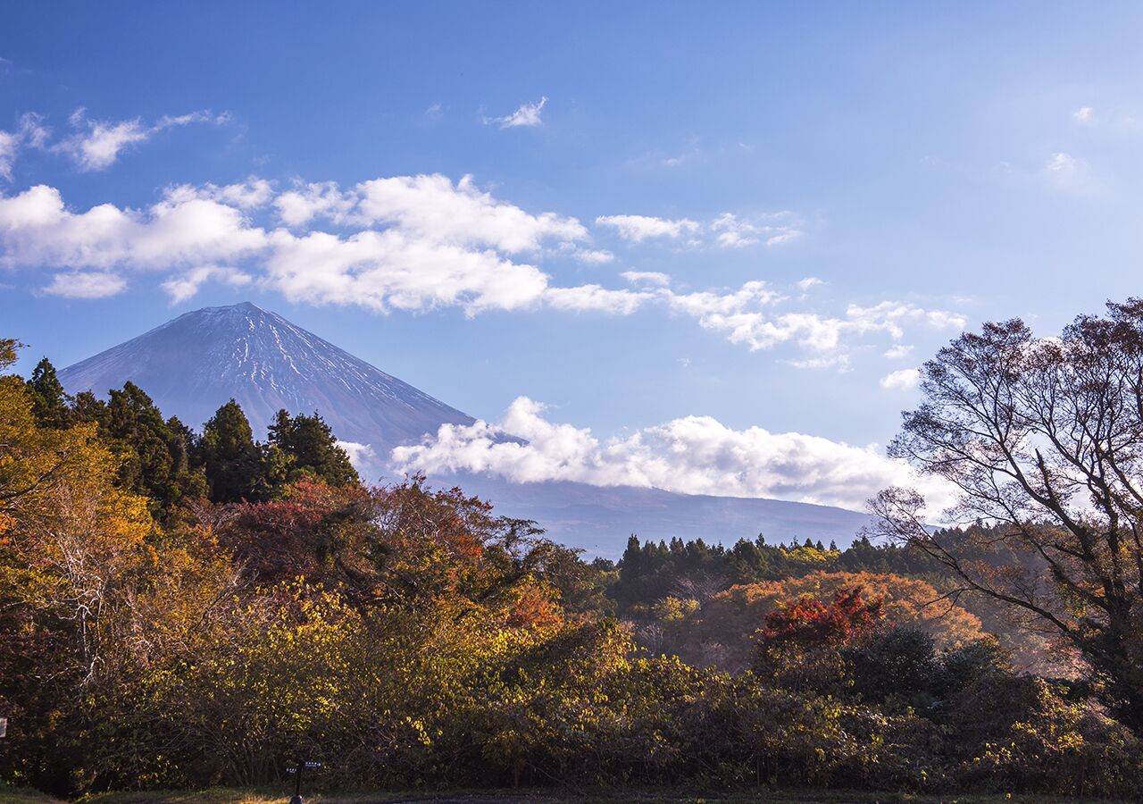 A mountain with a clear sky and autumn foliage.
