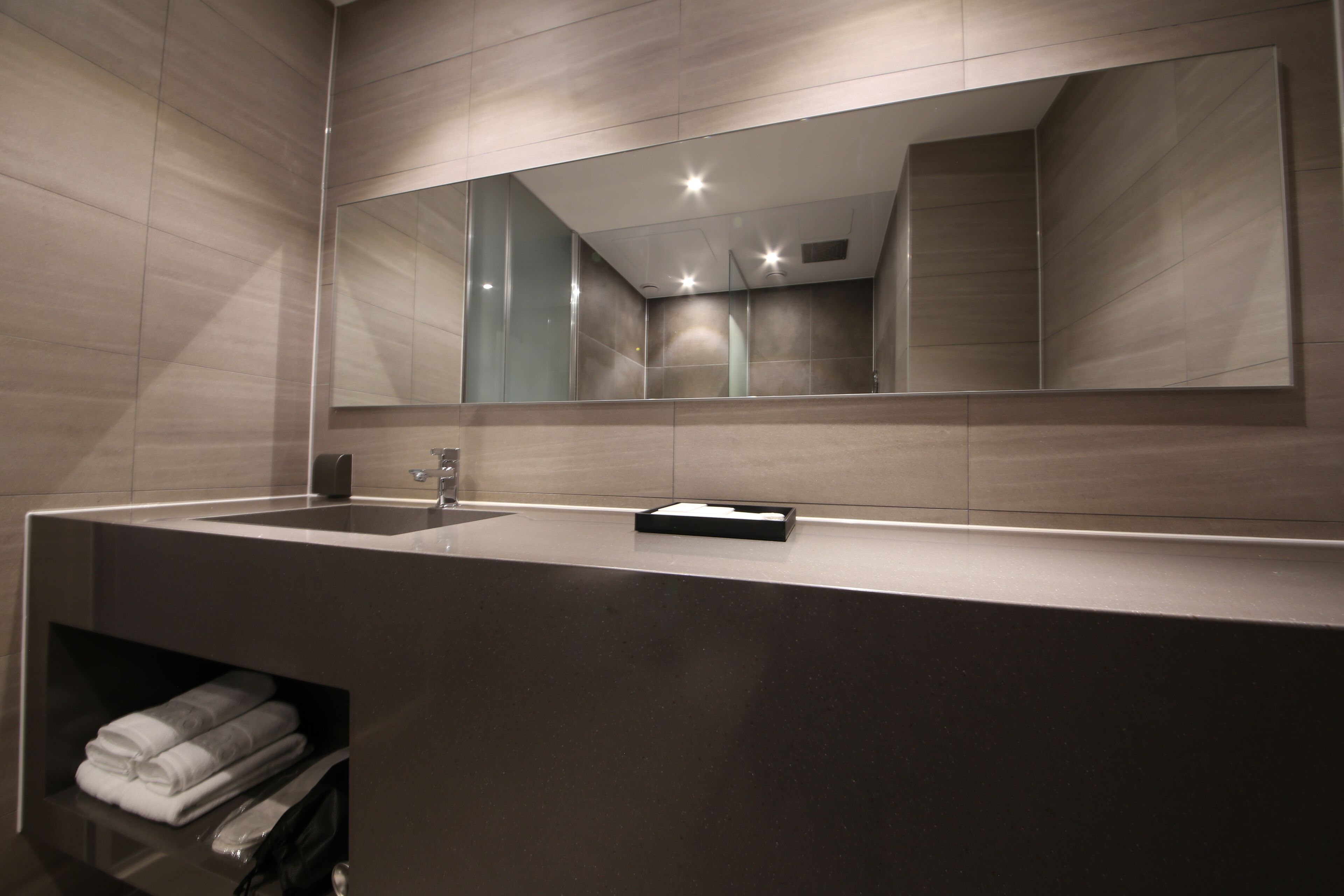 standard room | bathroom sink