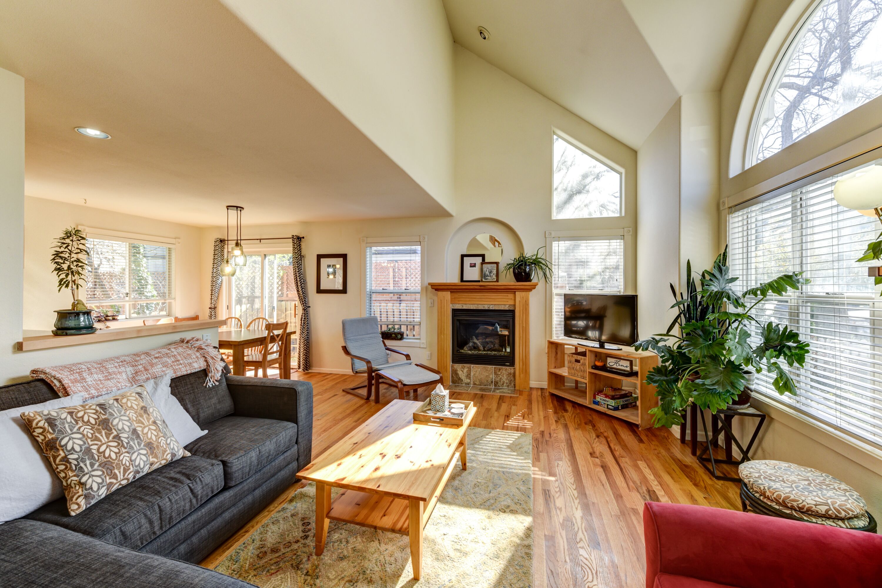 TV, fireplace, DVD player