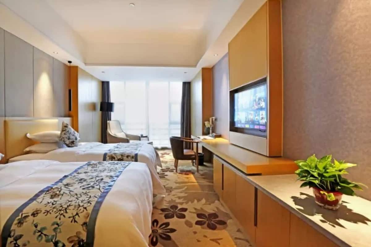 Ett hotellrum med två sängar, en TV, ett skrivbord och en krukväxt.