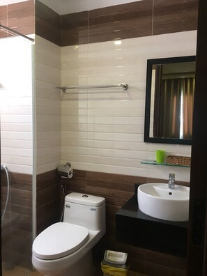 Secadora de cabello y bidet 