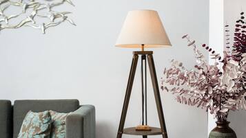 Smart TV, Netflix, books, streaming services