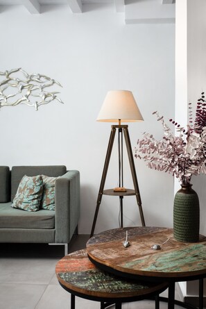 Smart TV, Netflix, books, streaming services