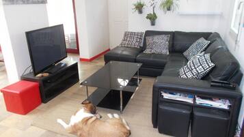 Televisie, een open haard, een dvd-speler en een tafeltennistafel