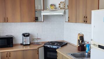 Apartment | Eigene Küche | Großer Kühlschrank, Mikrowelle, Ofen, Herdplatte
