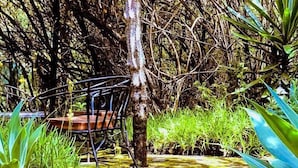 Property grounds - Kianderi Chalet (Naivasha)