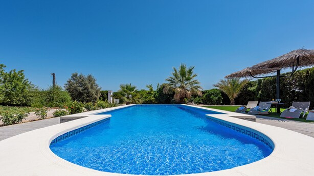 Une grande piscine aux eaux bleues et limpides, à bords incurvés, entourée d’une terrasse blanche. On y trouve des chaises longues et un parasol en chaume, situés sur le côté droit.