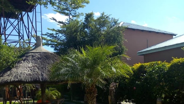 A garden area with a thatched-roof gazebo, palm trees, and a paved walkway. - Kamuboola Lodge (Choma)