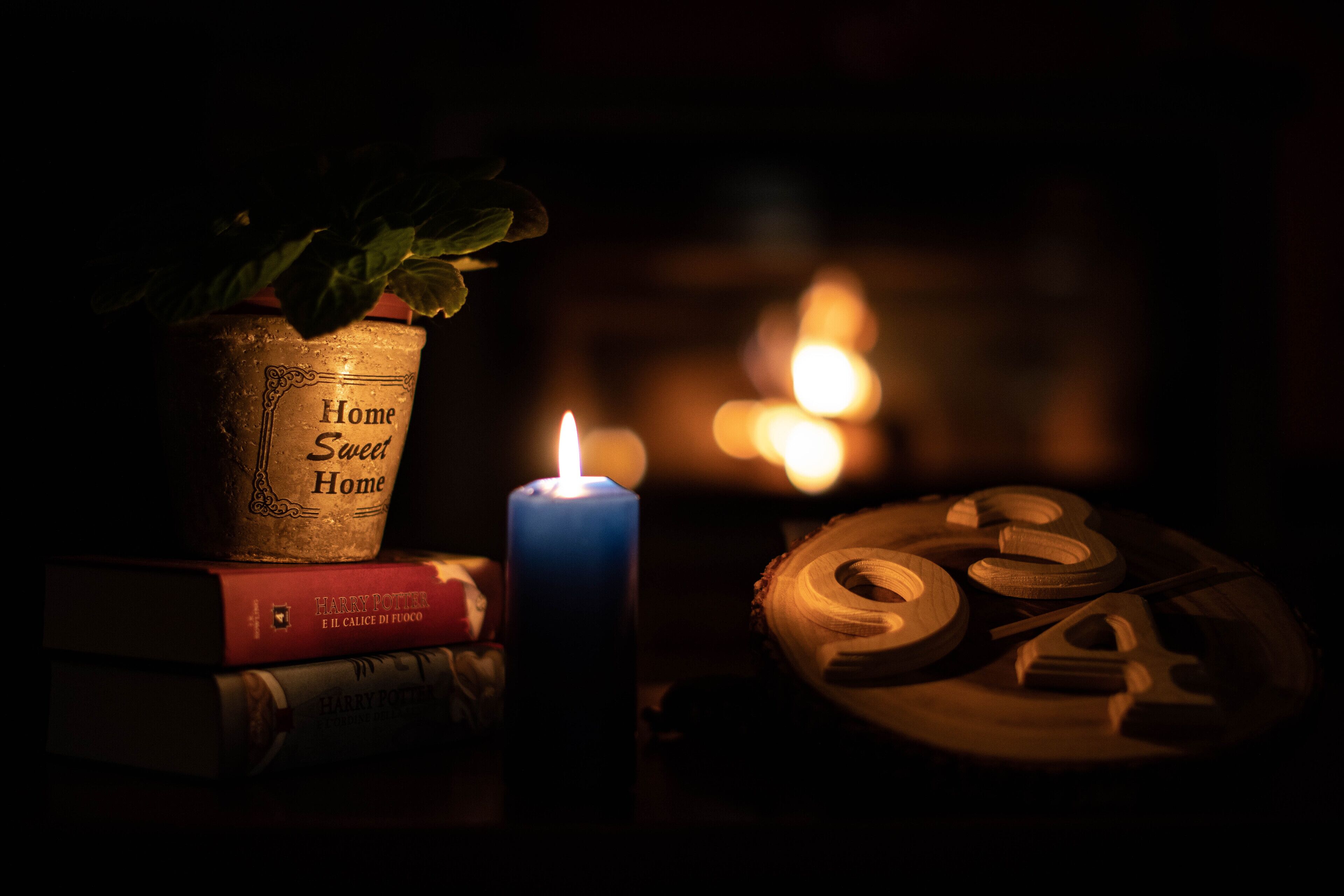 A candle, a potted plant, and wooden shapes on a table.