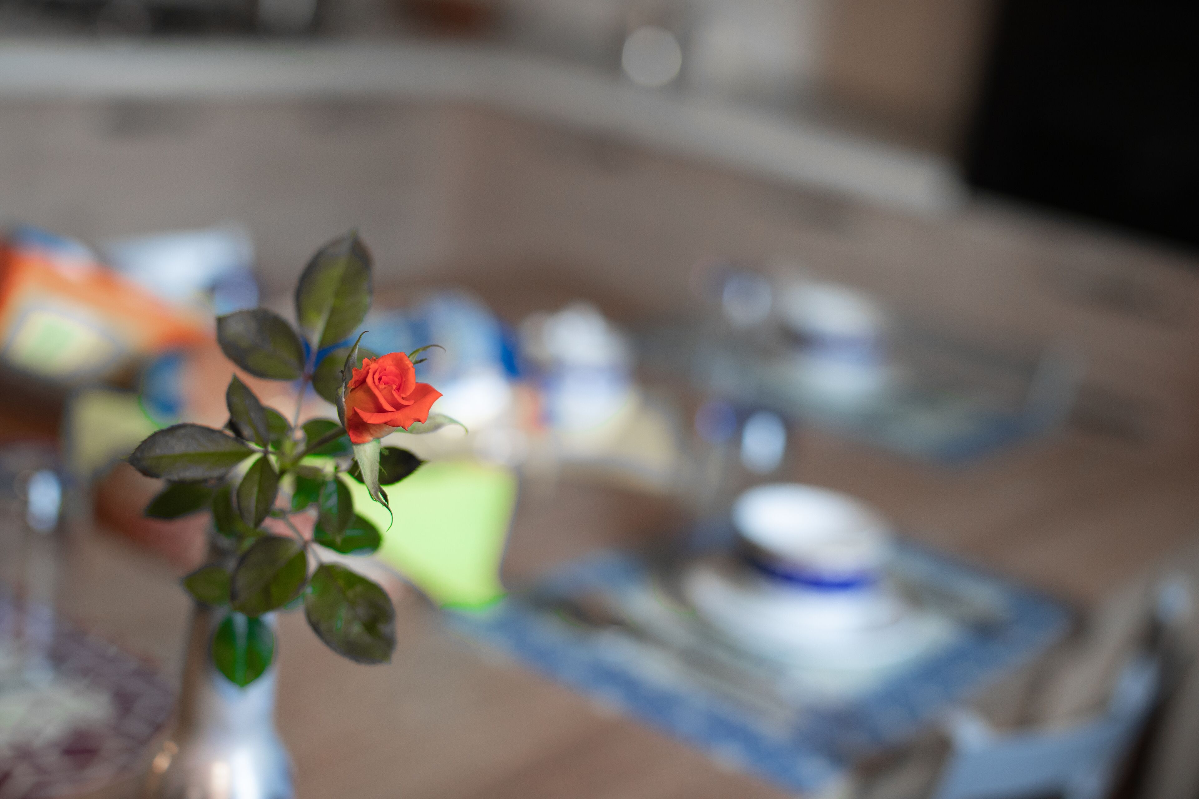 A close-up of a red rose in a vase on a table with blurred background items.